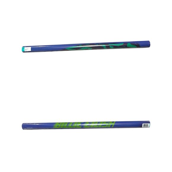 BILLIE EILISH BLUE Poster Lash Music 2020 Trends International NEW in Package - Picture 5 of 5